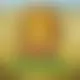 Zagraj Mega Moolah z Games Global w {"id":54,"name":"Spinamba","design":{"logo":"spinamba-logo.oNerTk.svg","favicon":"spinamba-favicon.JaI2xz.png","banner_poker":"spinamba-poker-quqfU7.webp","banner_mobile":"spinamba-mobile-i3evYT.webp","block_bg_color":"#FFC708","image_bg_color":"#f59e0b","banner_bg_color":"#FFC708","block_text_color":"#404040","primary_bg_color":"#000008","banner_text_color":"#0a0a0a","footer_logos_type":"white","block_round_radius":"0.125rem","primary_text_color":"#ffffff","button_round_radius":"0.5rem","banner_welcome_bonus":"spinamba-welcome-bonus-n8CGA8.webp","primary_button_bg_color":"#FF4D00","primary_button_text_color":"#fff","secondary_button_bg_color":"#FFC700","secondary_button_text_color":"#0a0a0a"},"created_at":"2025-05-14T09:25:22.000000Z","updated_at":"2025-05-14T09:25:22.000000Z","deleted_at":null}