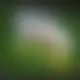 Zagraj Let It Ride z Playtech w {"id":54,"name":"Spinamba","design":{"logo":"spinamba-logo.oNerTk.svg","favicon":"spinamba-favicon.JaI2xz.png","banner_poker":"spinamba-poker-quqfU7.webp","banner_mobile":"spinamba-mobile-i3evYT.webp","block_bg_color":"#FFC708","image_bg_color":"#f59e0b","banner_bg_color":"#FFC708","block_text_color":"#404040","primary_bg_color":"#000008","banner_text_color":"#0a0a0a","footer_logos_type":"white","block_round_radius":"0.125rem","primary_text_color":"#ffffff","button_round_radius":"0.5rem","banner_welcome_bonus":"spinamba-welcome-bonus-n8CGA8.webp","primary_button_bg_color":"#FF4D00","primary_button_text_color":"#fff","secondary_button_bg_color":"#FFC700","secondary_button_text_color":"#0a0a0a"},"created_at":"2025-05-14T09:25:22.000000Z","updated_at":"2025-05-14T09:25:22.000000Z","deleted_at":null}